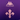 25∕26 Fiorentina Special Edition