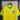 Camisa Brasil 23/24 l